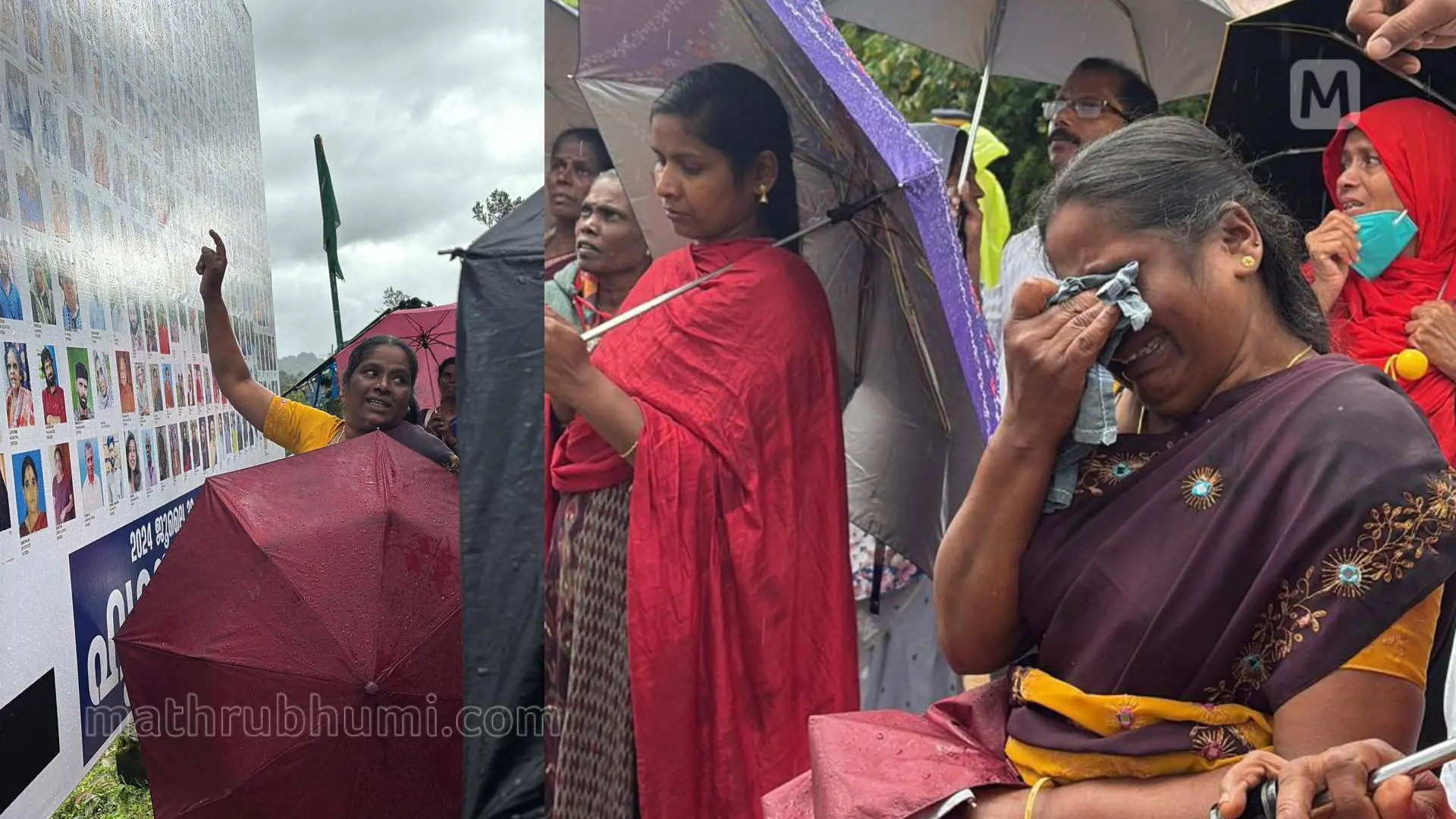 പുത്തൂമലയിൽ സ്ഥാപിച്ച ബോർഡിൽ പ്രിയപ്പെട്ടവരുടെ ചിത്രം തിരയുന്നവർ | ഫോട്ടോ: മാതൃഭൂമി