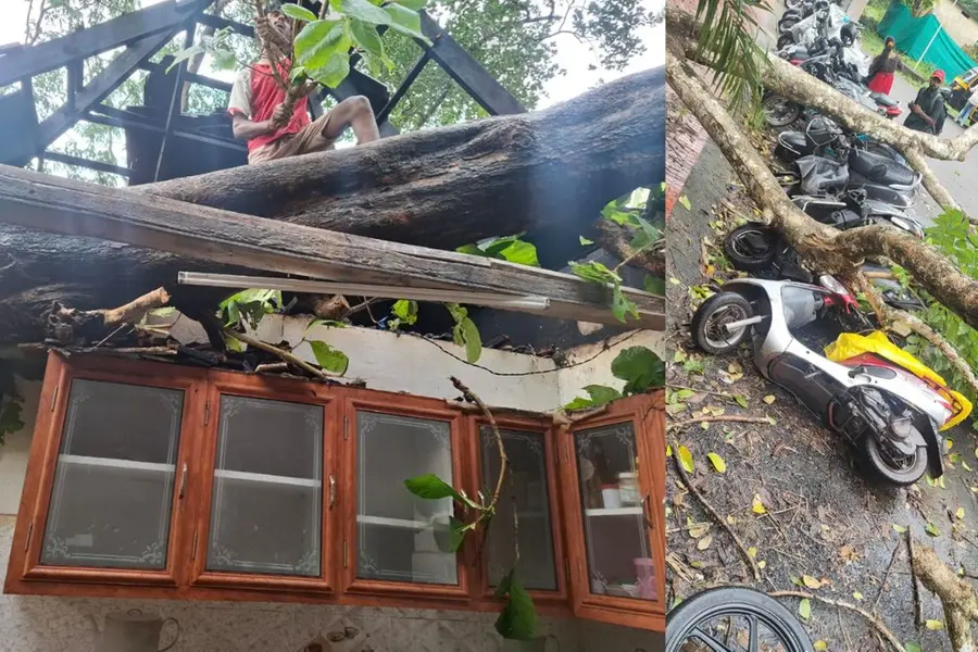 കോട്ടയത്ത് ശക്തമായ കാറ്റിലും മഴയിലും വ്യാപക നാശനഷ്ടം; വീടുകള്‍ക്കും വാഹനങ്ങള്‍ക്കും കേടുപാട്