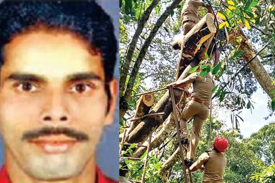 മുറിച്ചുകൊണ്ടിരുന്ന മരം നെടുകെ പിളർന്നു, മരവുമായി ശരീരത്തെ ബന്ധിച്ചിരുന്ന കയർമുറുകി തൊഴിലാളി മരിച്ചു