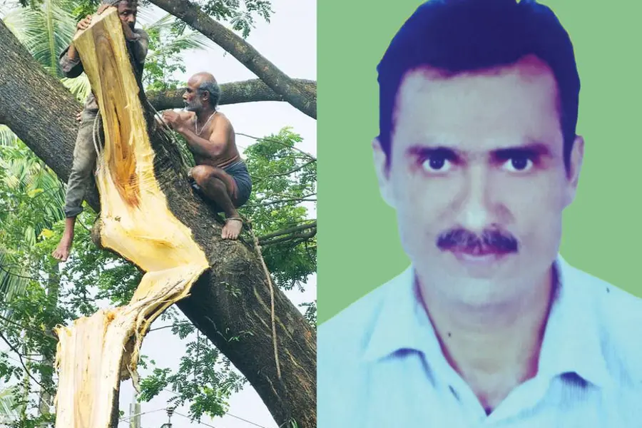 മുറിക്കുന്നതിനിടെ മരക്കൊമ്പ് പൊട്ടിവീണു; സുരക്ഷയ്ക്കായി കെട്ടിയ കയറിൽ കുരുങ്ങി തൊഴിലാളി മരിച്ചു