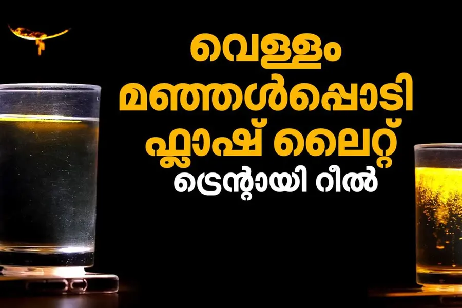 വെള്ളം, മഞ്ഞള്പൊടി, ഫ്ളാഷ് ലൈറ്റ്; ട്രെന്റിന് പിന്നാലെ സോഷ്യല് മീഡിയ, വൈറലായി റീല്