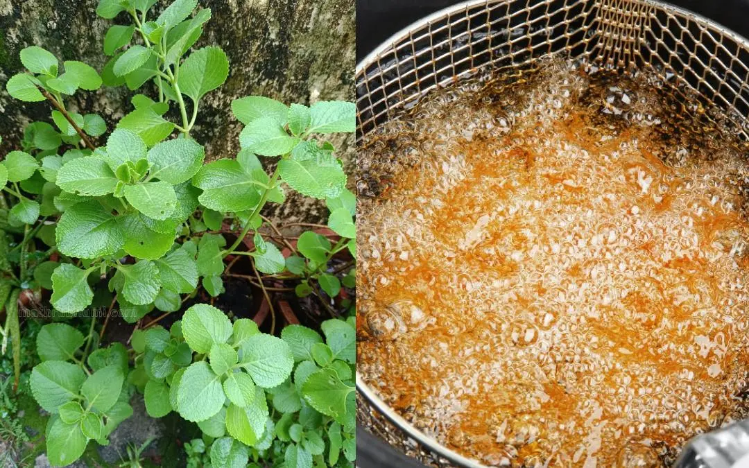 പ്രതീകാത്മക ചിത്രം