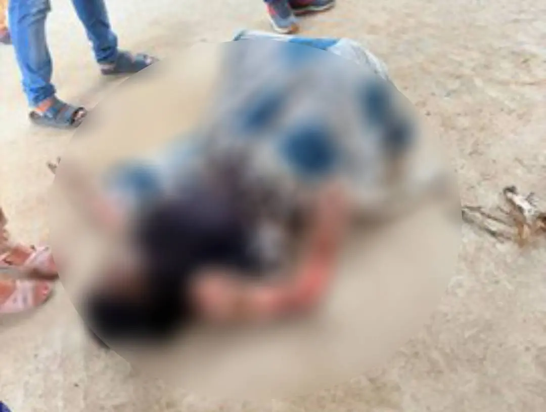 സംഭവസ്ഥലത്ത്‌ നിന്നുള്ള ദൃശ്യം| ഫോട്ടോ: PTI