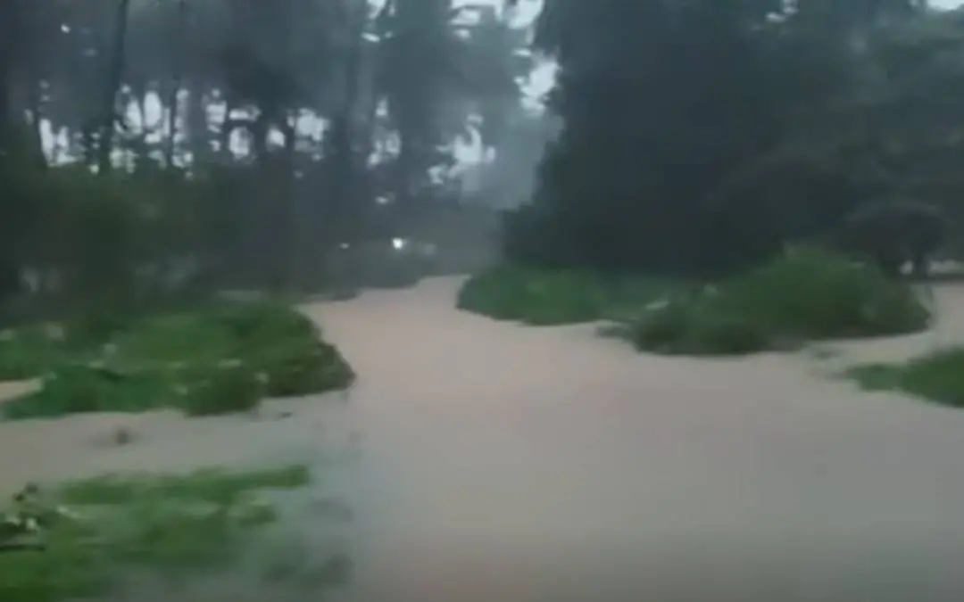 ആറളം