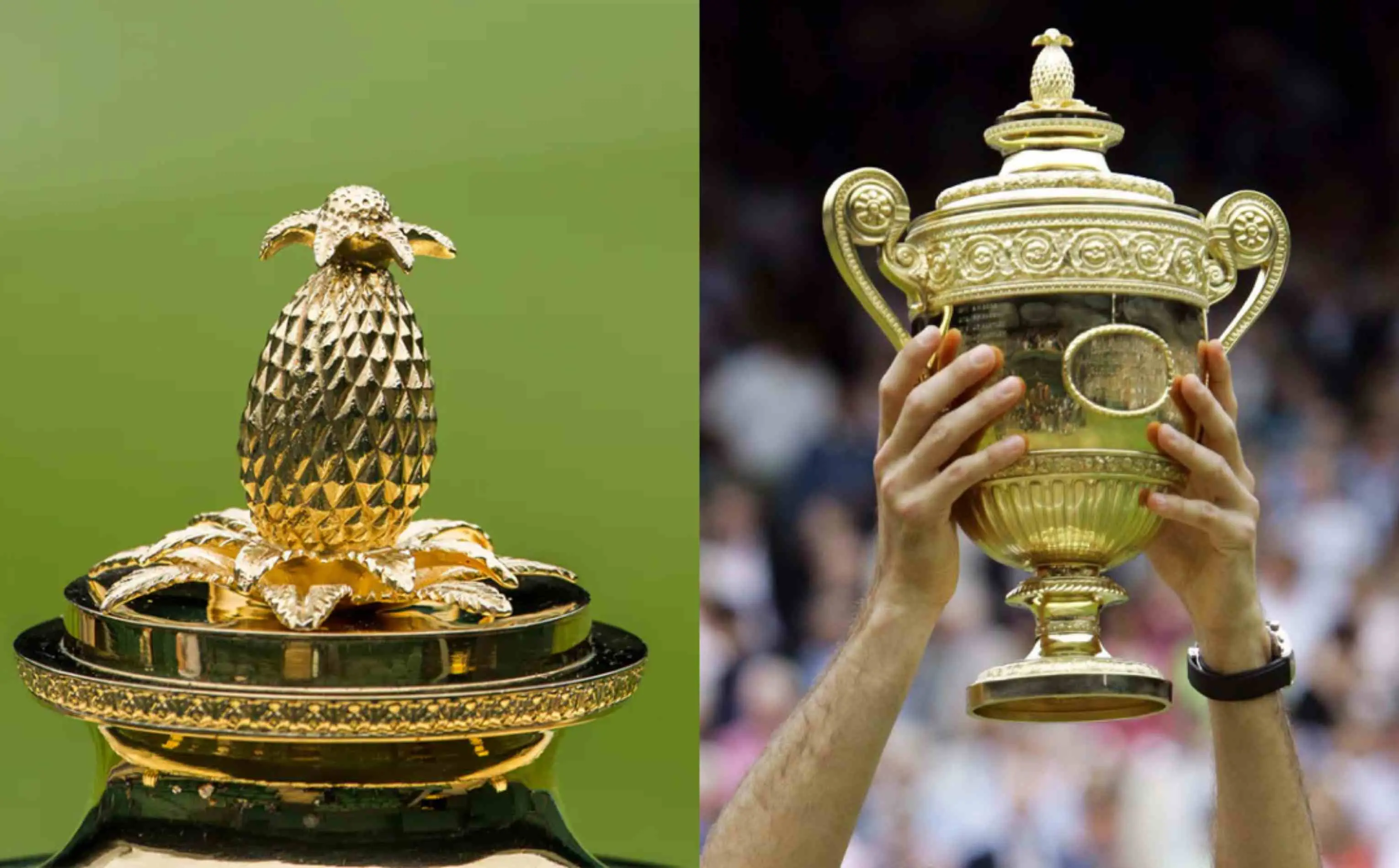 വിംബിൾഡൺ ട്രോഫിയിലെ പൈനാപ്പിൾ| ഫോട്ടോ: wimbeldon.com