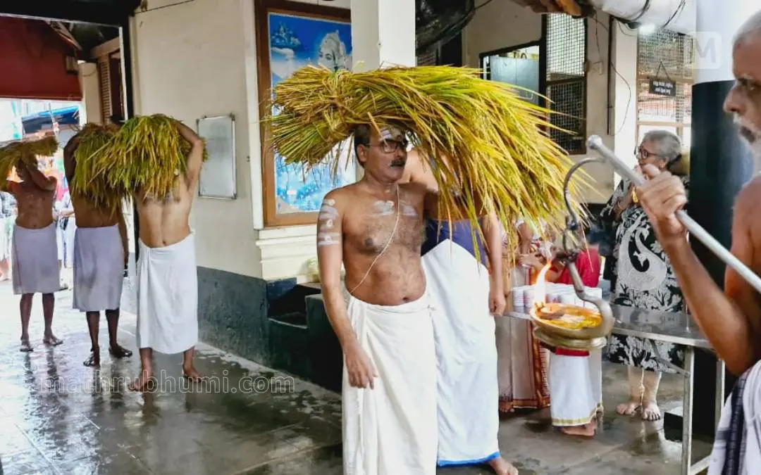 ആലത്തിയൂർ ഹനുമാൻകാവ് ക്ഷേത്രത്തിൽ നടന്ന ഇല്ലംനിറ | ഫോട്ടോ: പ്രദീപ് പയ്യോളി/മാതൃഭൂമി