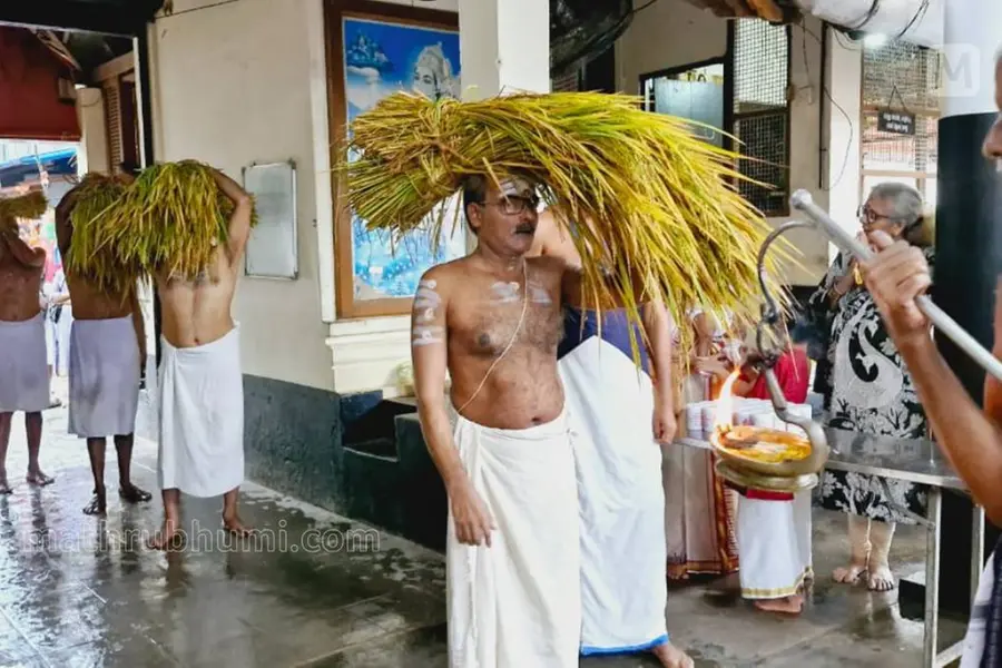 കാർഷിക സമൃദ്ധിയെ വരവേറ്റ് ക്ഷേത്രങ്ങളിലും വീടുകളിലും ഇല്ലംനിറ