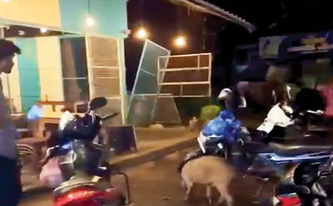 കാളികാവിൽ ഹോട്ടലിലേക്കു കയറുന്ന പന്നി