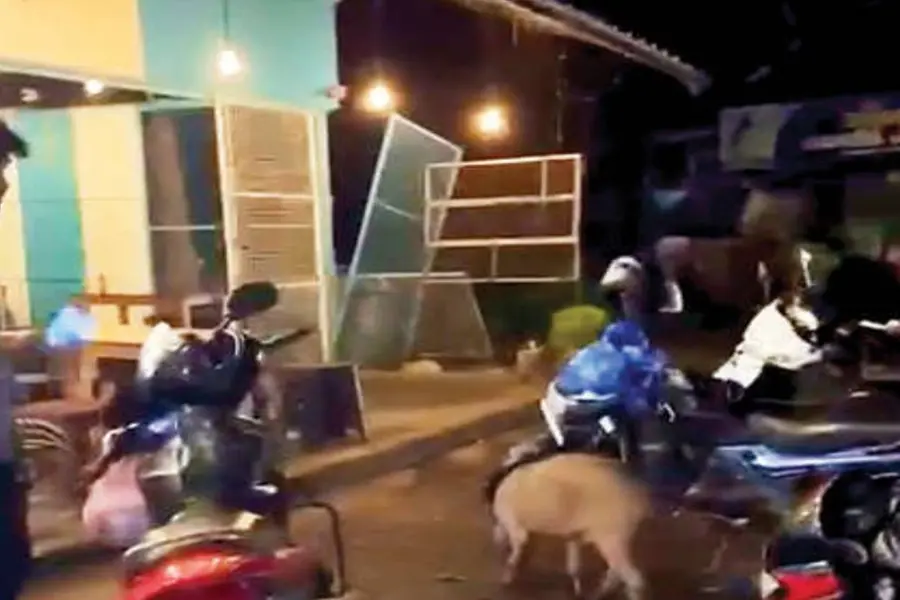 കാടുവിട്ട് നാട്ടിലെത്തി, ആള്ത്തിരക്കുള്ള ഹോട്ടലില് കയറി പന്നി; സംഭവം കാളികാവില്