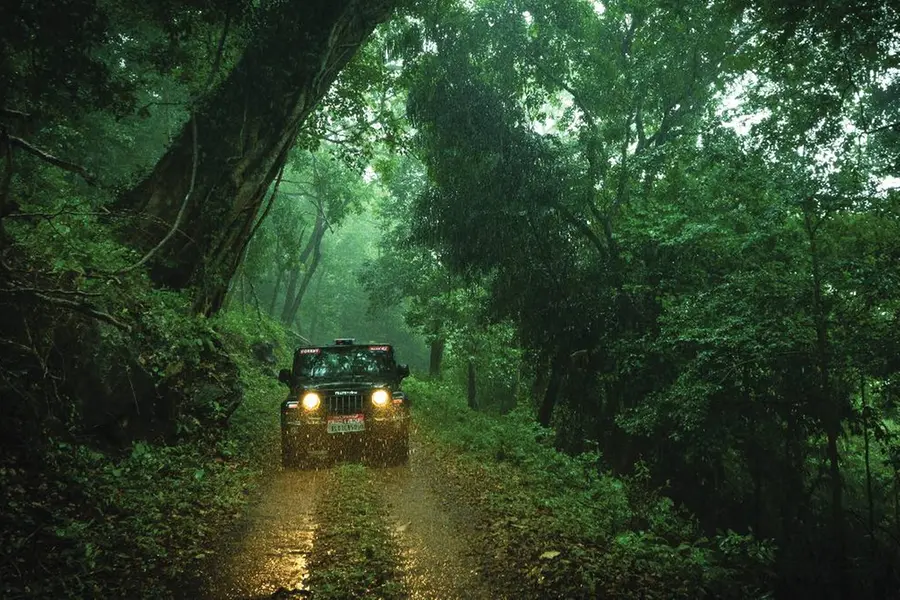 'ഉണ്ട’ ചിത്രീകരണത്തിനിടെ നിക്ഷിപ്ത വനമേഖലയിലുണ്ടായ നാശനഷ്ടം,വന്യജീവി സങ്കേതങ്ങളിൽ ഷൂട്ടിങ് വേണ്ട- HC
