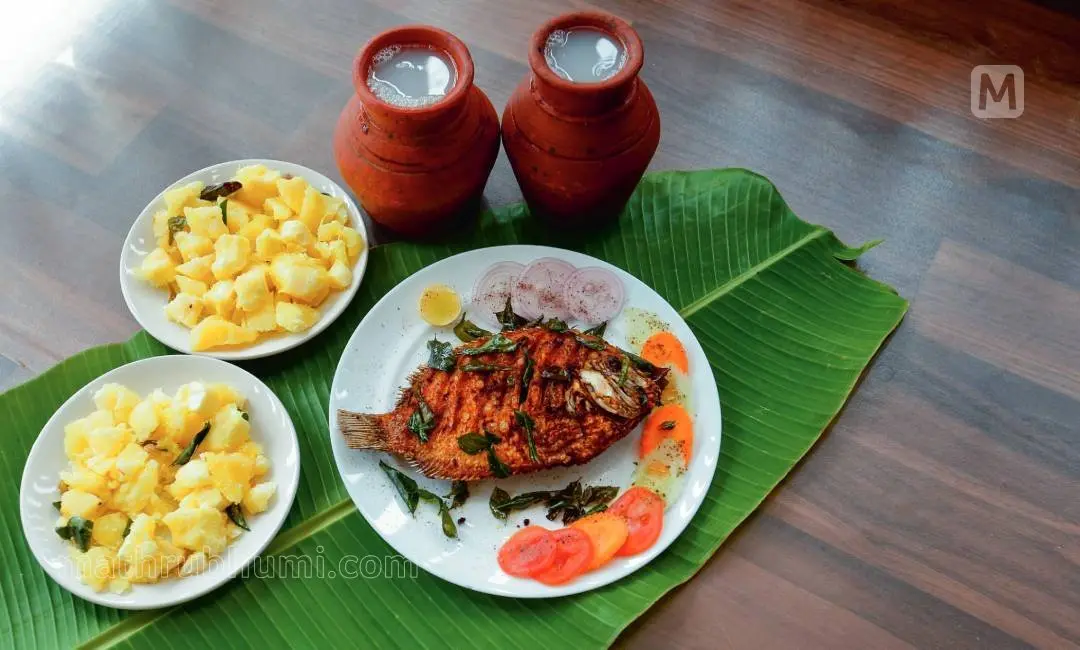 പ്രതീകാത്മക ചിത്രം ( മാതൃഭൂമി)