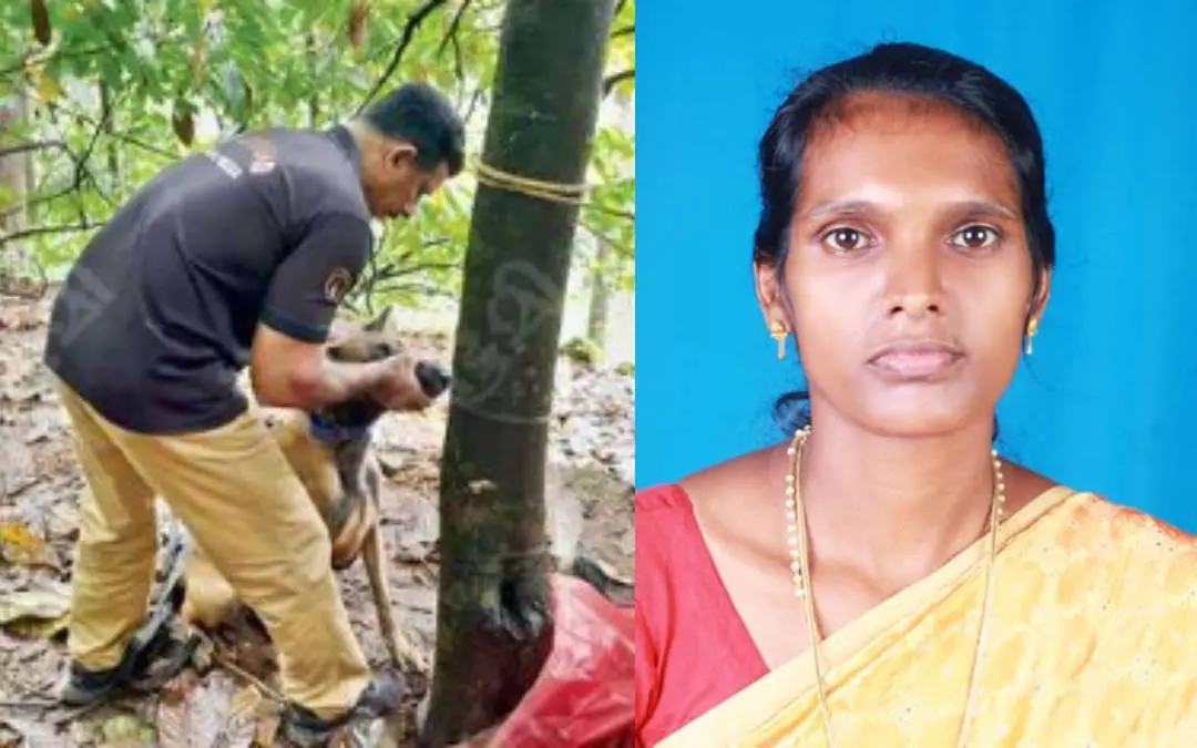 പശുവിന്റെ മൃതദേഹം കണ്ട സ്ഥലത്തുള്ള മരത്തിലെ പിവിസി പൈപ്പില്‍നിന്ന് പോലീസ് നായ മണംപിടിക്കുന്നു, മരിച്ച ബോബി