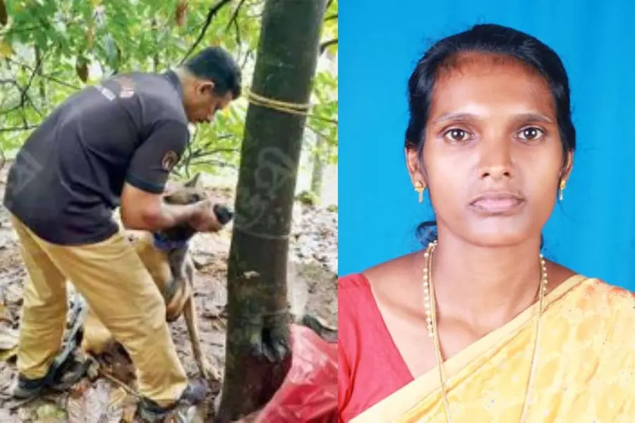 പശുക്കടവിൽ വീട്ടമ്മ ഷോക്കേറ്റ് മരിച്ച സംഭവം: വൈദ്യുതിക്കെണി സ്ഥാപിച്ച ആൾ അറസ്റ്റിൽ