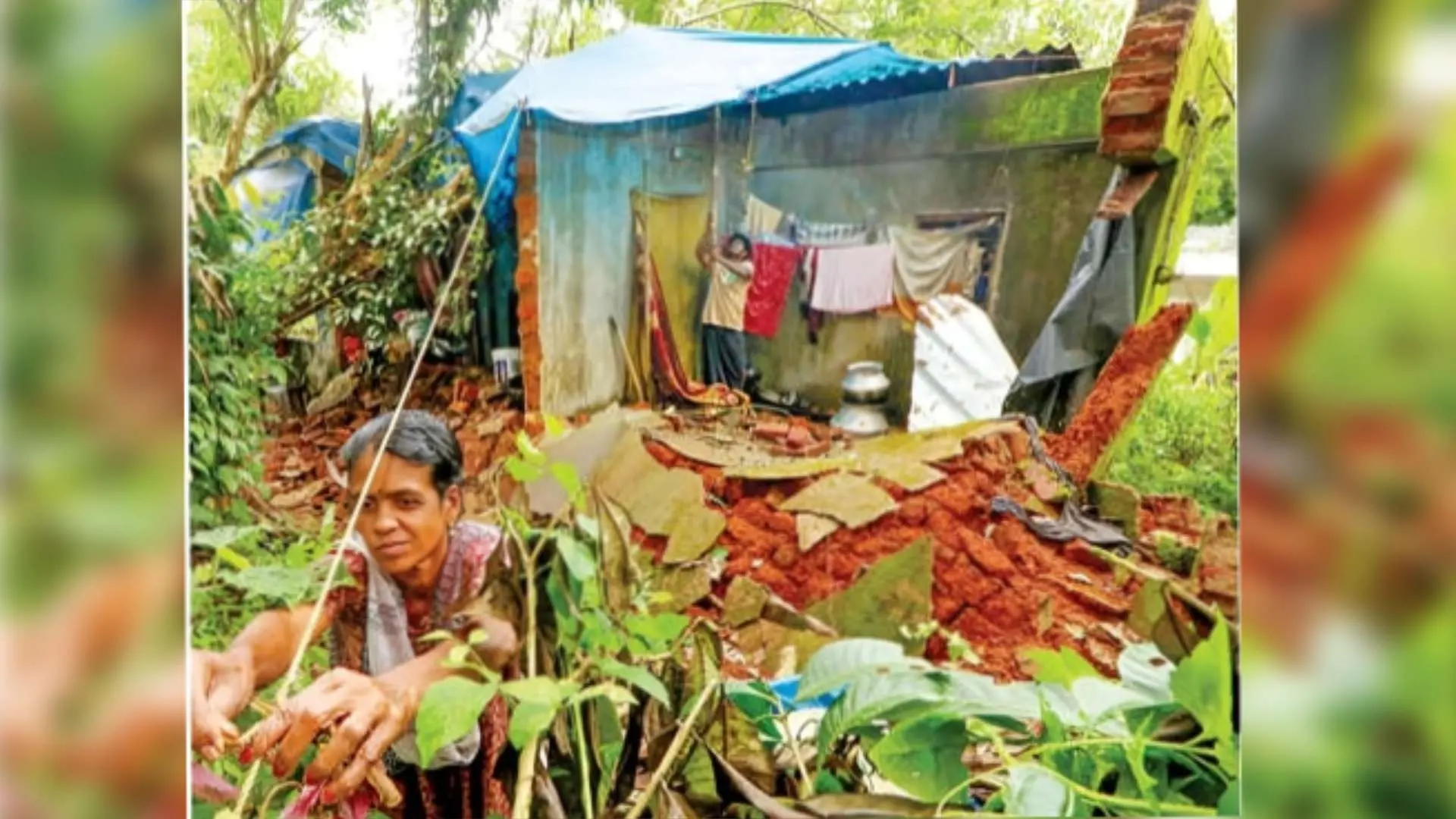 തകർന്ന വീടിന് മുകളിൽ വിരിച്ച പടുത വലിച്ചുകെട്ടുന്ന ബിന്ദു | Photo: അരവിന്ദ് ലെനിൻ