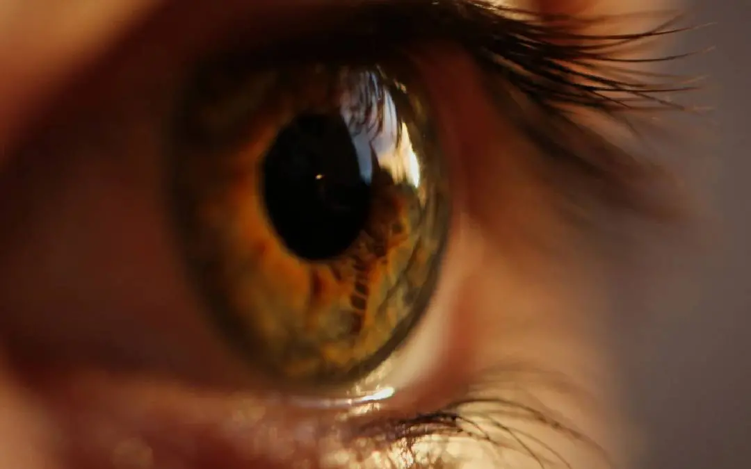 Representative Image| Photo: Canva.com