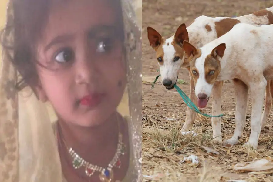 വീടിനുള്ളിൽ കയറി തെരുവുനായ കടിച്ചു; പേവിഷബാധയേറ്റ് ചികിത്സയിലായിരുന്ന നാലുവയസ്സുകാരി മരിച്ചു