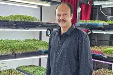 10 കിലോ വരെ വിളവ്, പ്രതിദിനം 15,000 വരെ രൂപ വരുമാനം; 120 സ്ക്വയർ ഫീറ്റിലെ മൈക്രോഗ്രീൻ വിപ്ലവം