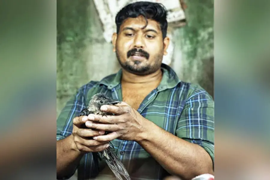 കൊക്ക് മുറിഞ്ഞ കാക്കയ്ക്ക് മീന്മാര്ക്കറ്റില് 'സര്ജറി'; ഒടുവില് ശുഭപര്യവസാനം, ഭക്ഷണം കഴിക്കുന്നു