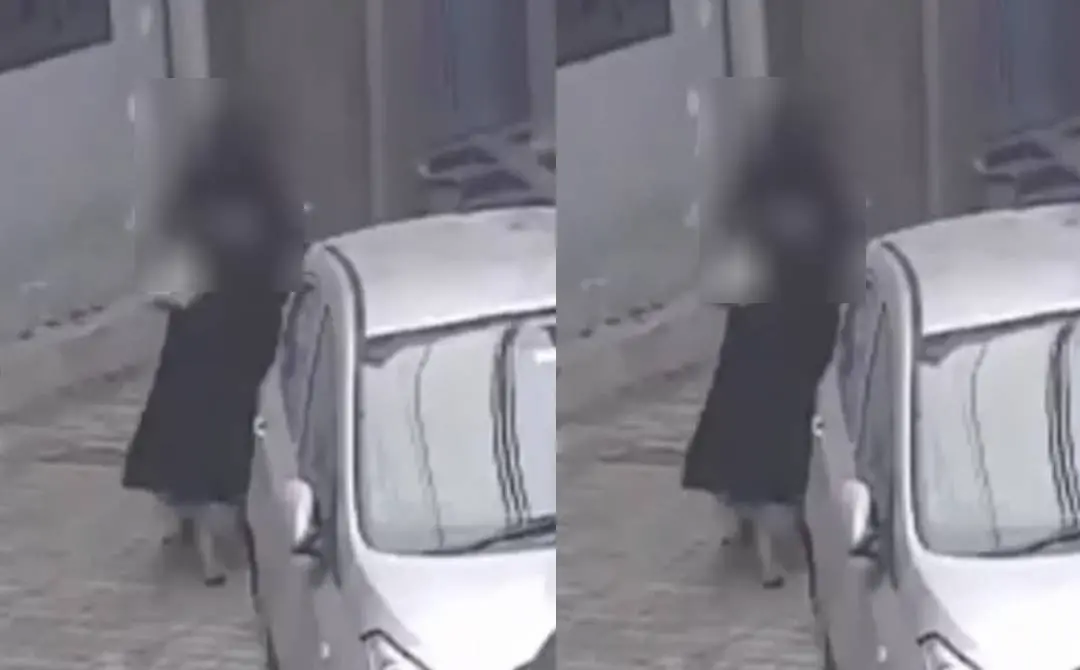 അതിക്രമത്തിന്റെ സിസിടിവി ദൃശ്യം | Screengrab Courtesy: x.com/DwivediKum67621