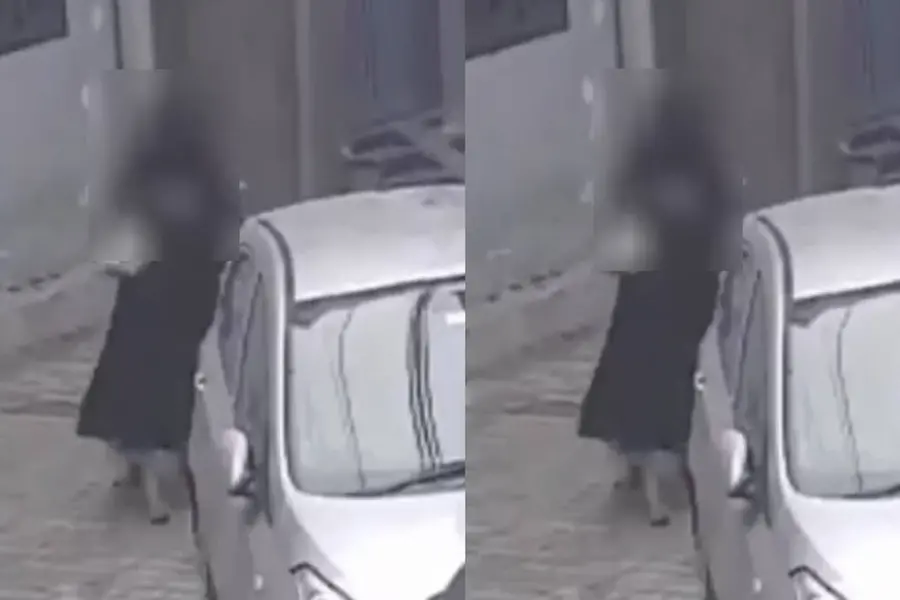 പിന്നിലൂടെയെത്തി സ്ത്രീയെ കടന്നുപിടിച്ചു, ഞെട്ടിക്കുന്ന ദൃശ്യം; പ്രതിയെ വെടിവെച്ച് കീഴ്പ്പെടുത്തി
