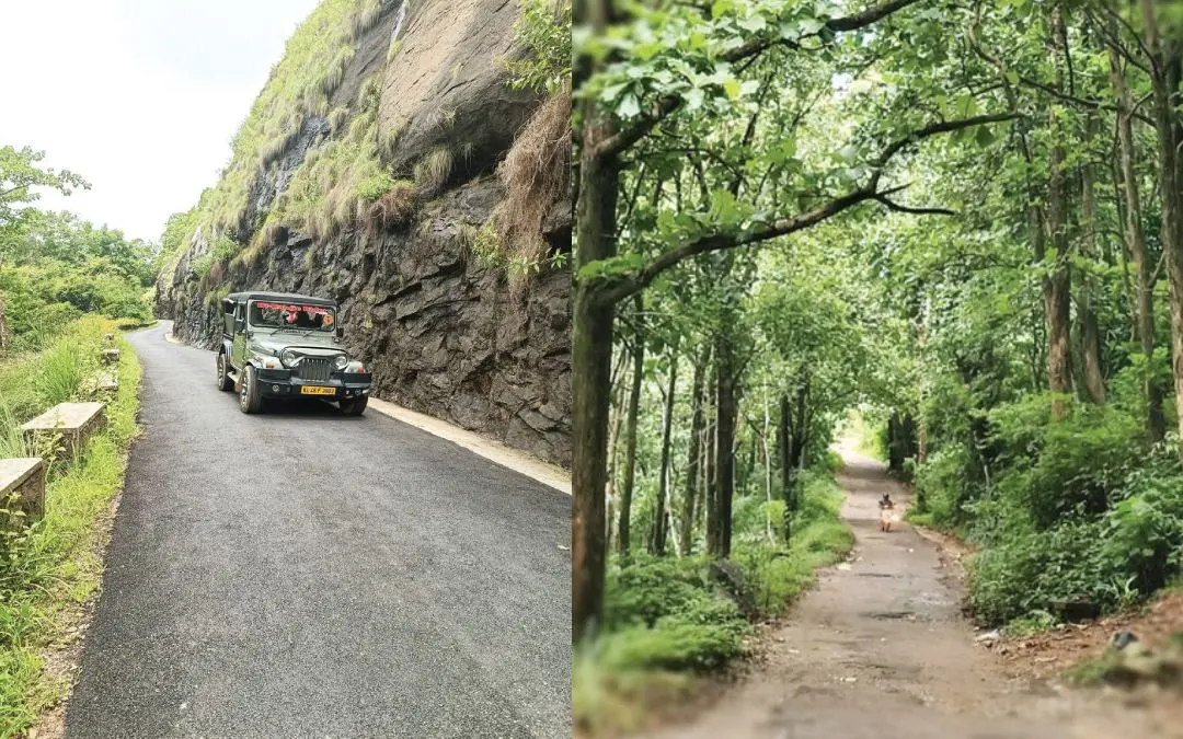 ഓർഡിനറി സിനിമ ചിത്രീകരിച്ച പൊൻമുടി ഡാമിലേക്കുള്ള വഴി, എക്കോ പോയിന്റിനു സമീപത്തെ തേക്കിൻകാടും വഴിയും