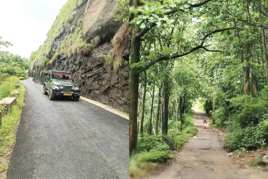 മാമരം കണ്ടേ, മേട് കണ്ടേ... ‘ഓർഡിനറി’ ബസ് കയറിയെത്തിയ അതേ വഴി, പൊൻമുടി ഡാമിന്റെ ദൂരക്കാഴ്ചകൾ