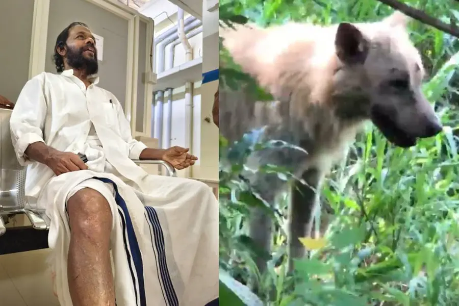 കോട്ടയത്തെ മുന് മുനിസിപ്പല് ചെയര്മാനെ കടിച്ച നായയ്ക്ക് പേവിഷബാധ സ്ഥിരീകരിച്ചു