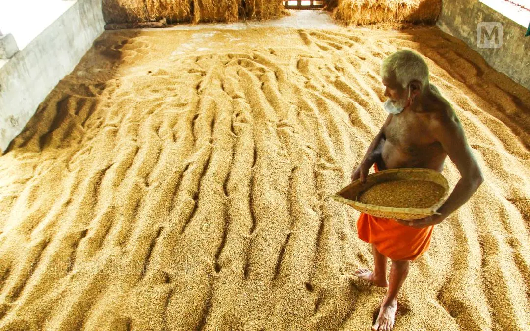 പ്രതീകാത്മക ചിത്രം | File Photo: Akhil ES / Mathrubhumi