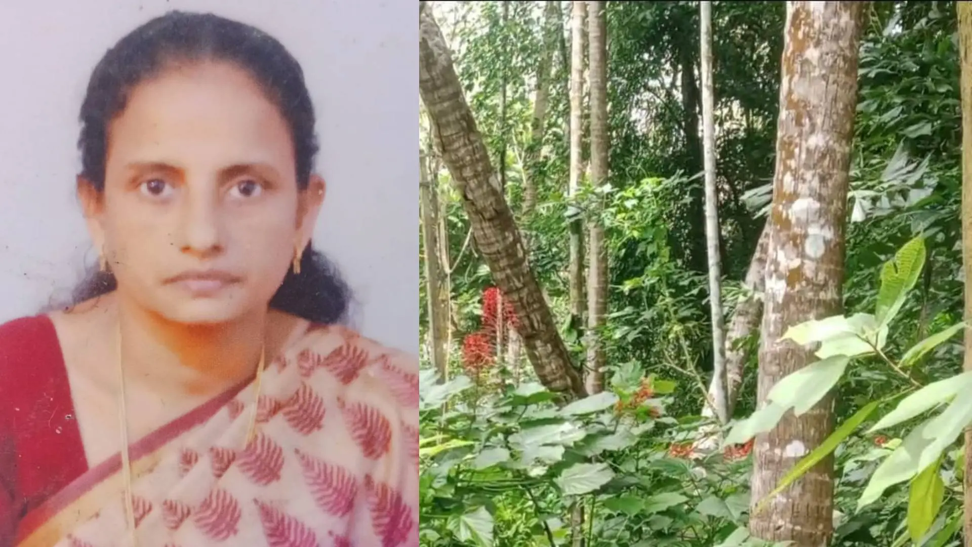ജൂലി