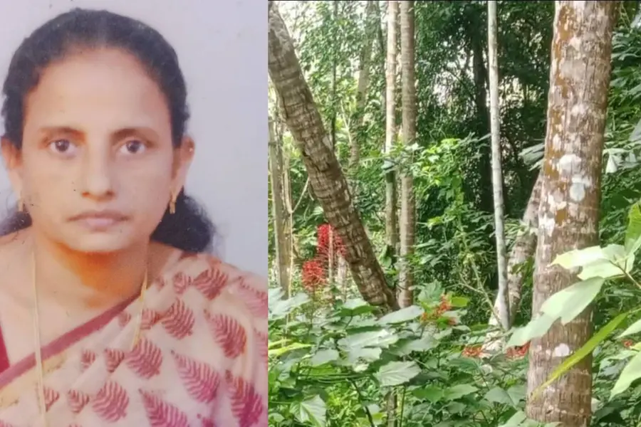 പൊട്ടിവീണ വൈദ്യുതക്കമ്പിയിൽനിന്ന് ഷോക്കേറ്റ് വീട്ടമ്മ മരിച്ചു; ഭർത്താവ് പരിക്കുകളോടെ രക്ഷപ്പെട്ടു