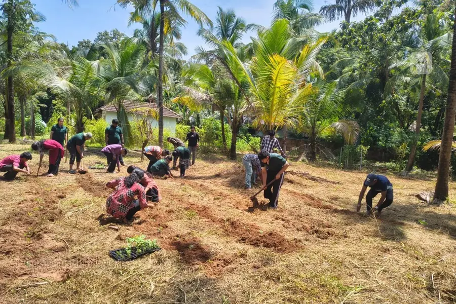 വെസ്റ്റ്ഹില് അനാഥന്ദിരത്തില് പച്ചക്കറിത്തോട്ടം ഒരുക്കി
