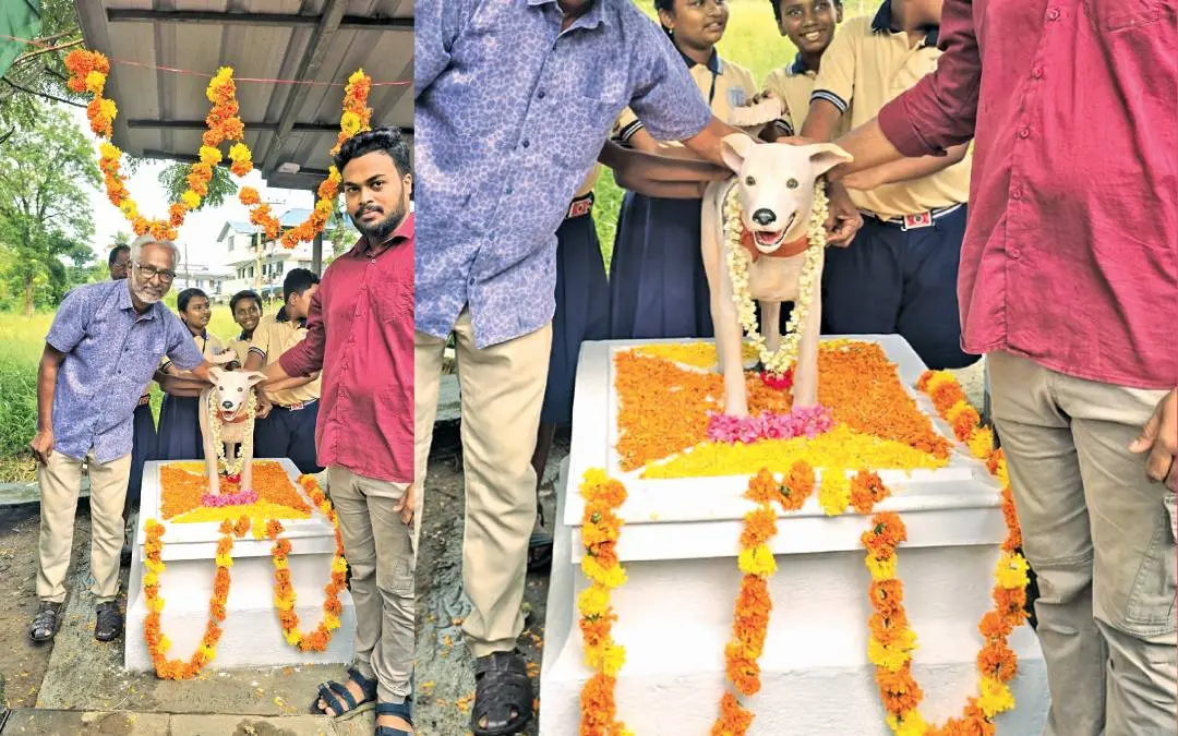 'എൽദോ'യുടെ പ്രതിമ എരൂർ കോഴിവെട്ടുംവെളി ജങ്ഷനിൽ സ്ഥാപിച്ചപ്പോൾ