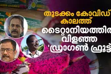 ടൈറ്റാനിയം തരിശുഭൂമിയിലെ 'പൊന്ന്', കോവിഡ് കാലത്തെ നിശ്ശബ്ദ ജൈവ വിപ്ലവം | Dragon Fruit