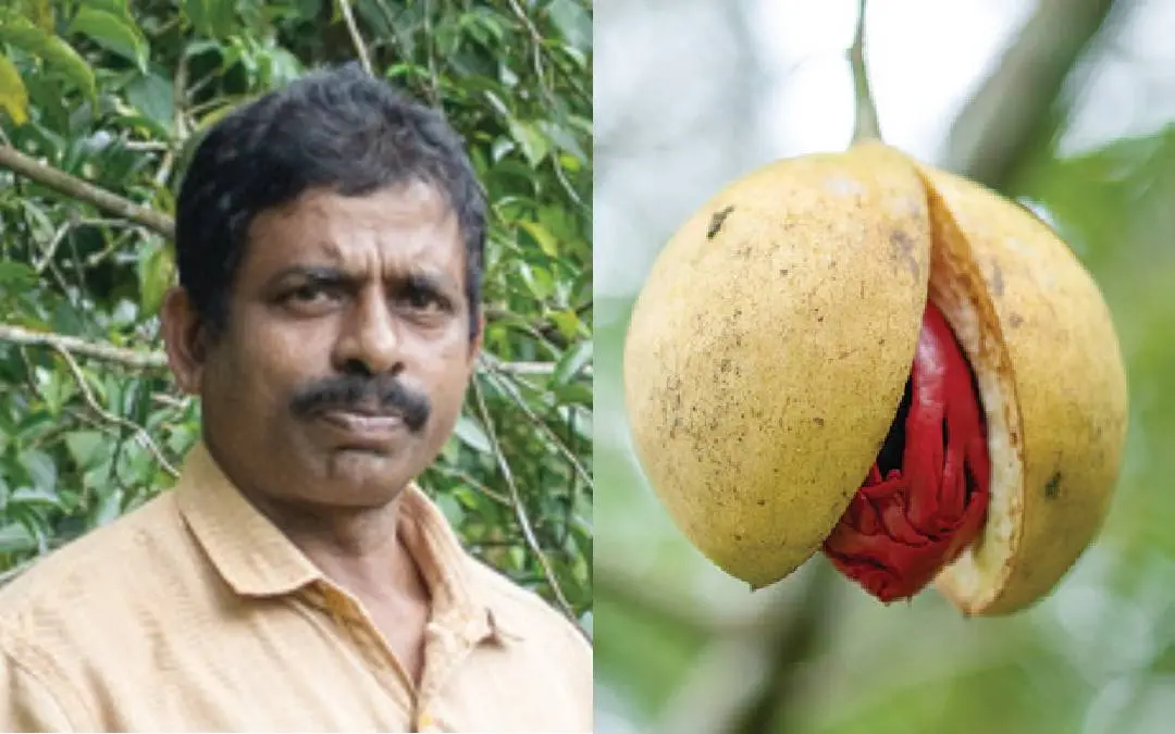 ടി.എം. പുഷ്കരൻ, തോട്ടനാൽ ജാതിയ്ക്ക