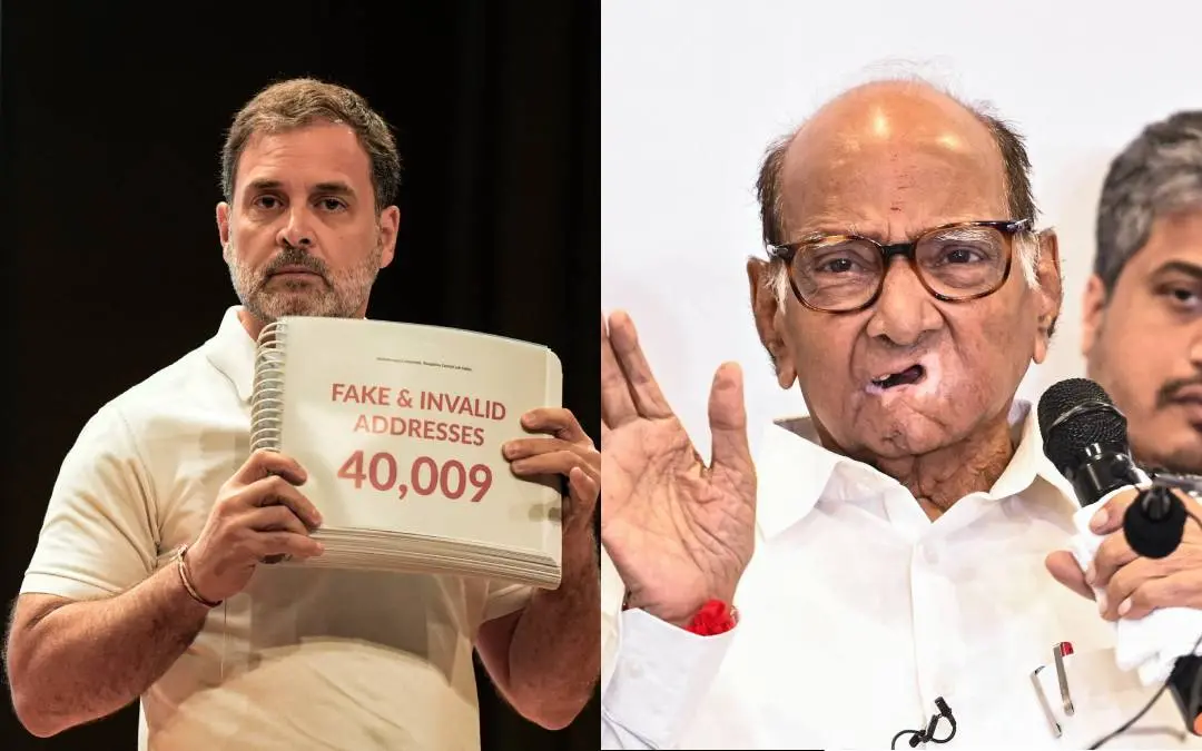 രാഹുൽ ഗാന്ധി, ശരദ് പവാർ