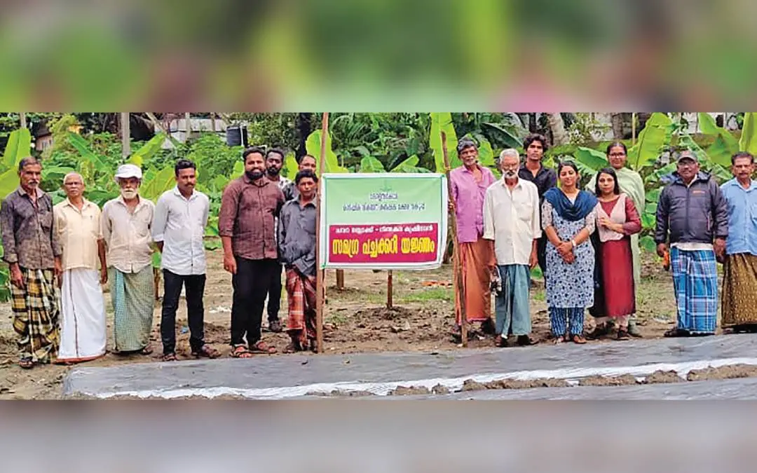 ഹാർബർ എൻജിനിയറിങ് വകുപ്പ് നീണ്ടകര അസിസ്റ്റന്റ് എൻജിനിയർ ഓഫീസിന്റെ നേതൃത്വത്തിലുള്ള കൃഷിയിടത്തിൽ ഉദ്യോഗസ്ഥരും ജീവനക്കാരും