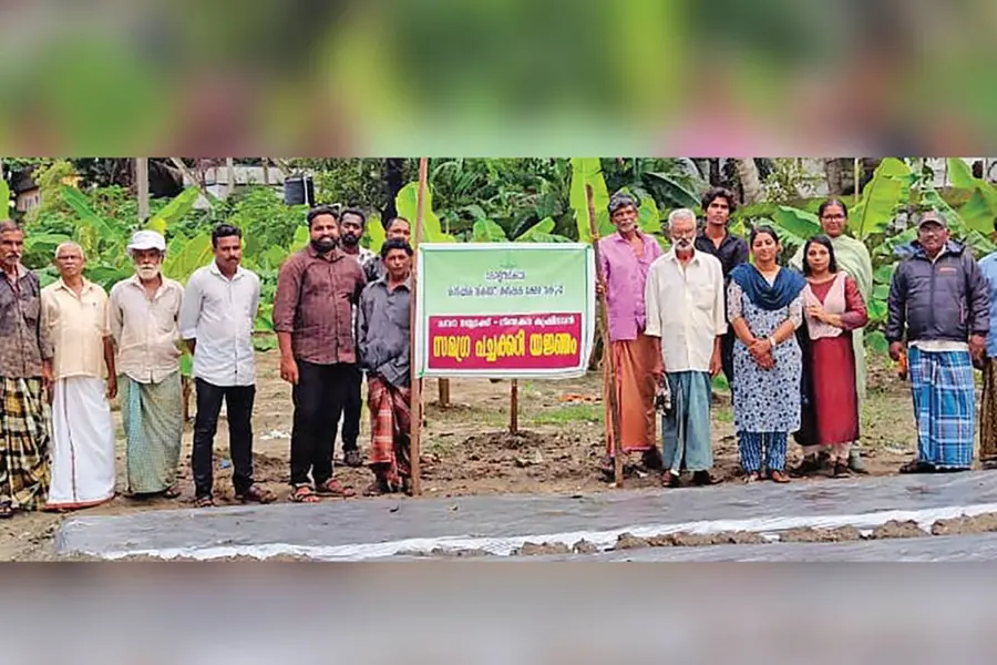 5 ഏക്കറിൽ 6 മാതൃകാതോട്ടങ്ങളും മാതൃകാ പോഷകത്തോട്ടവും; പുരസ്കാര തിളക്കത്തിൽ തുറമുഖത്തെ കൃഷിമുഖം
