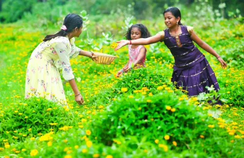 തൊടികളിൽ പൂക്കാലമായി... പെന്നോണക്കാലത്തിന്റെ വരവറിയിച്ച് തൊടിയിലെ ചെടികളില് വിരിഞ്ഞ നാട്ടുപൂക്കൾ പറിച്ചു പൂക്കൂടകളില് നിറയ്ക്കുകയാണ് കുട്ടികള്. ഐശ്വര്യത്തിന്റെയും സമ്പല് സമൃദ്ധിയുടെയും നല്ല നാളുകള്ക്കായി അത്തം മുതൽ മുറ്റത്ത് പൂക്കളമൊരുക്കാന് മലയാളികള് ഒരുങ്ങിക്കഴിഞ്ഞു. പാലക്കാട് മുതലമട ചേനപ്പന് തോട്ടത്തില് നിന്നുള്ള ദൃശ്യം