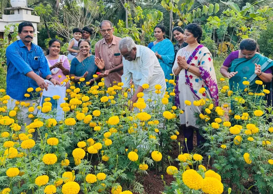 കാനാരിക്കൽ കുടുംബ സമിതി അംഗങ്ങൾ പൂക്കൾ വിളവെടുക്കുന്നു | Photo: Mathrubhumi