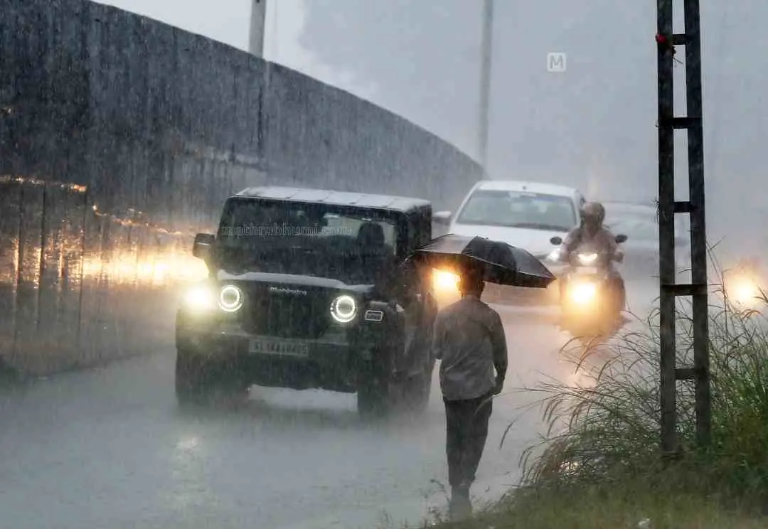 മഴ ചിത്രം |ഫോട്ടോ:മാതൃഭൂമി
