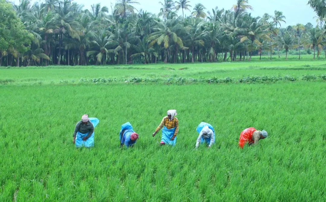 പ്രതീകാത്മക ചിത്രം| ഫോട്ടോ: mathrubhumi