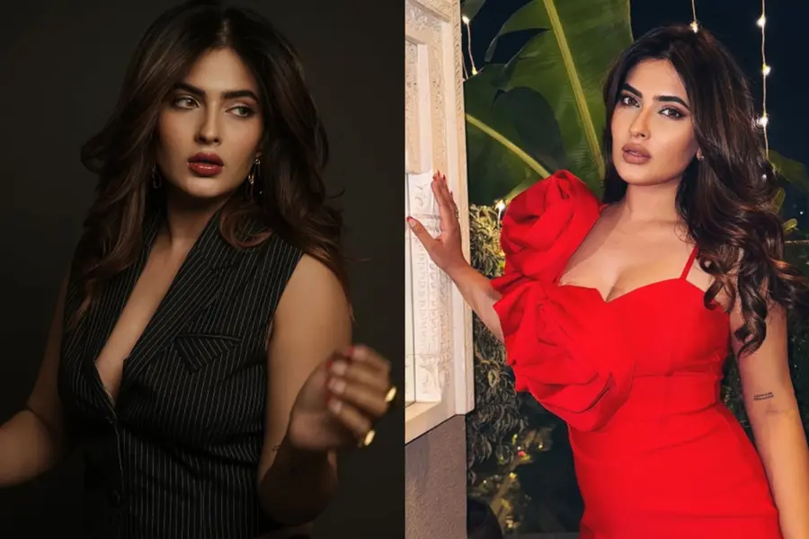 'അത് പേടിപ്പിക്കുന്ന അനുഭവമായിരുന്നു...'; ഓടുന്ന ട്രെയിനില് നിന്ന് ചാടി പരിക്കേറ്റ നടി കരിഷ്മ ശര്മ