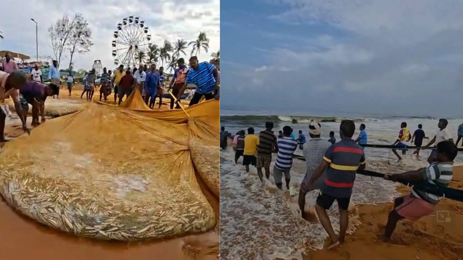 ശംഖുമുഖത്തെ ചാകര