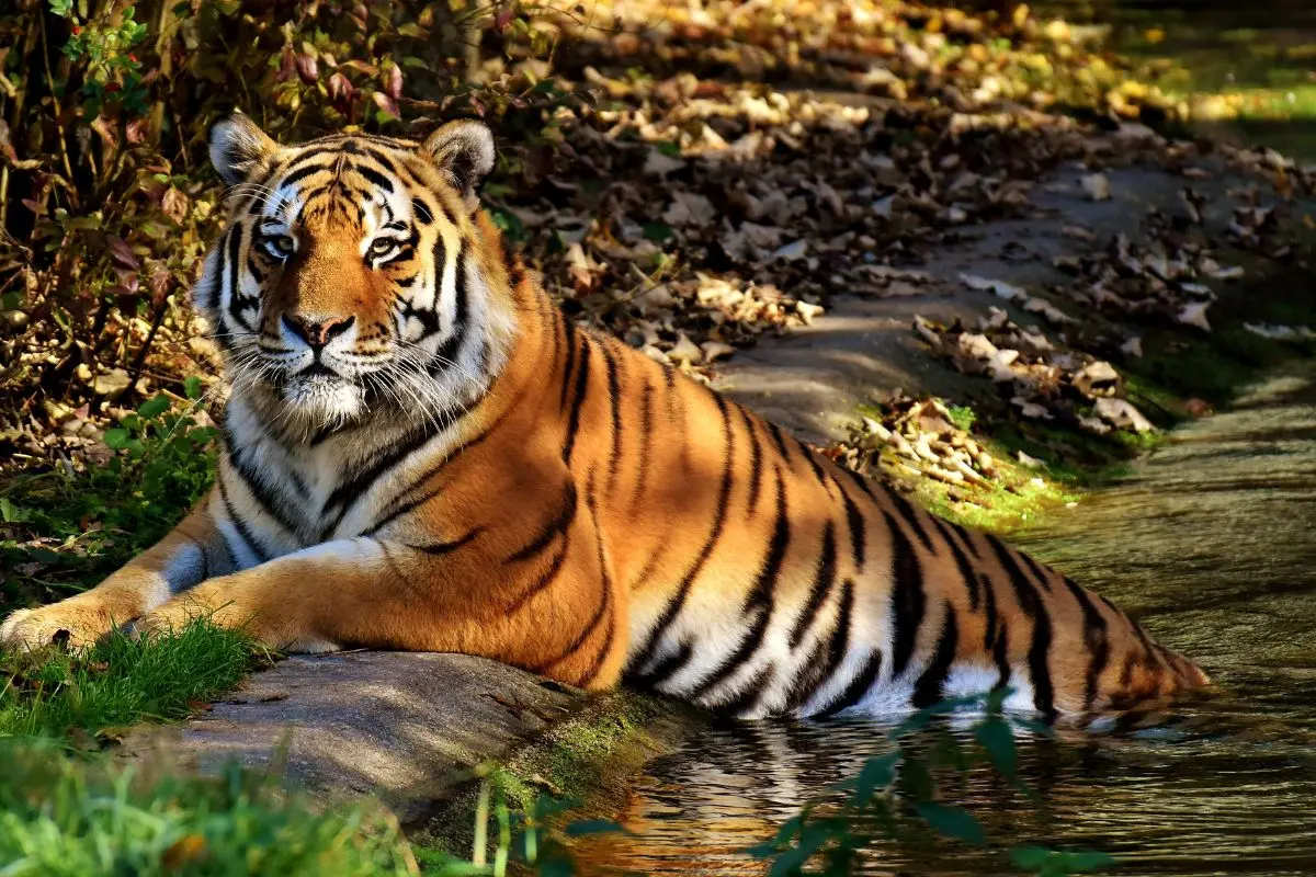 Representative Image | Photo: Canva