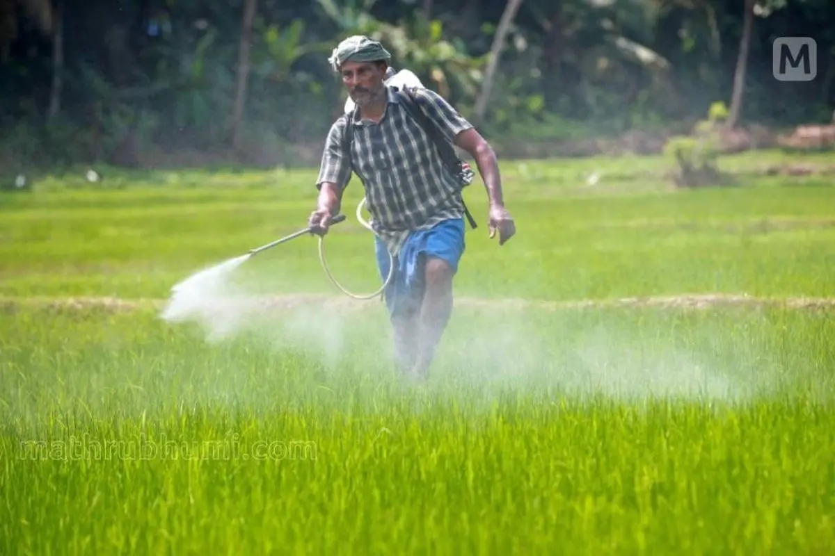 Representational image | Photo: Mathrubhumi