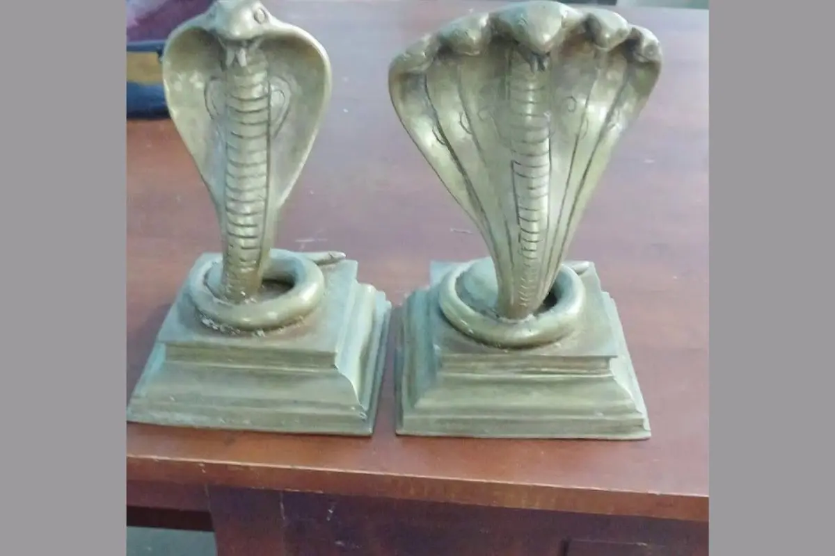 Naga idols | Photo: Mathrubhumi visual