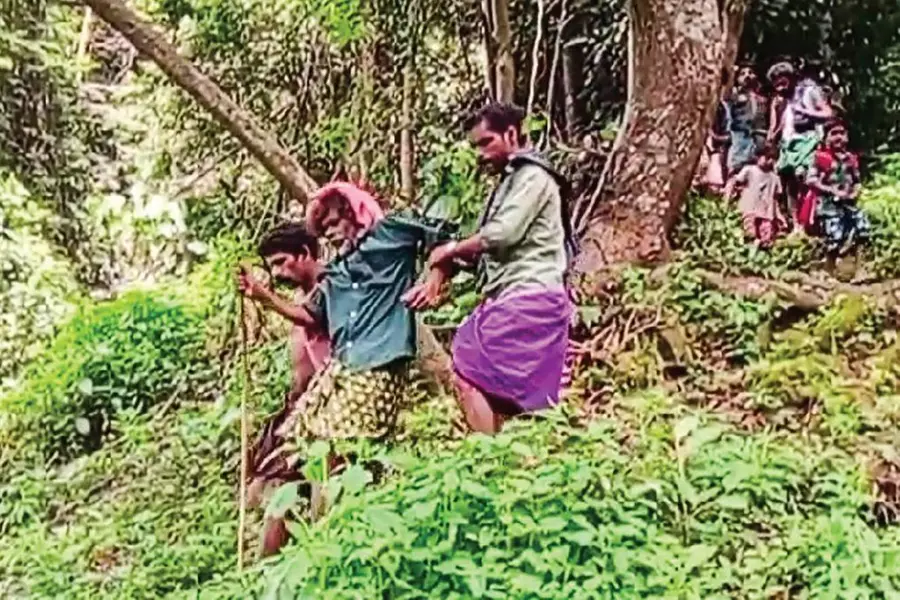പനിബാധിച്ച 64കാരനെ കൈയിൽതാങ്ങി ആറുമണിക്കൂർ വനയാത്ര; ഇടമലക്കുടിയിലെ ദുരിതയാത്ര