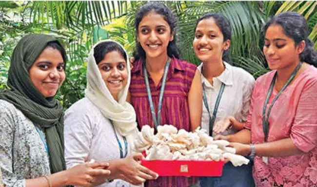 വിളവെടുത്ത കൂണുകളുമായി ദേവഗിരി സെയ്ന്റ് ജോസഫ്സ് കോളേജിലെ വിദ്യാർഥികൾ