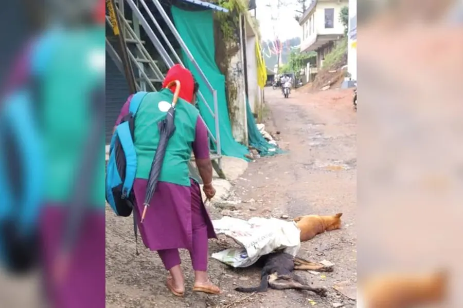 മൃഗങ്ങൾ കൂട്ടത്തോടെ ചത്തുവീഴുന്നു, നായകൾ അവശനിലയിൽ; മരണകാരണം വ്യക്തമല്ല, ആശങ്ക