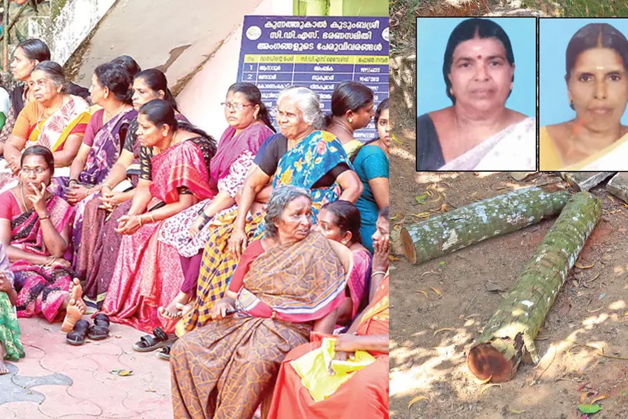 തെങ്ങ് മറിഞ്ഞുവരുന്നേ... ഉറക്കെ നിലവിളിച്ച് എല്ലാവരും ഓടി, പക്ഷെ... അപ്പോഴേക്കും വൈകി, ഇനി അവരില്ല